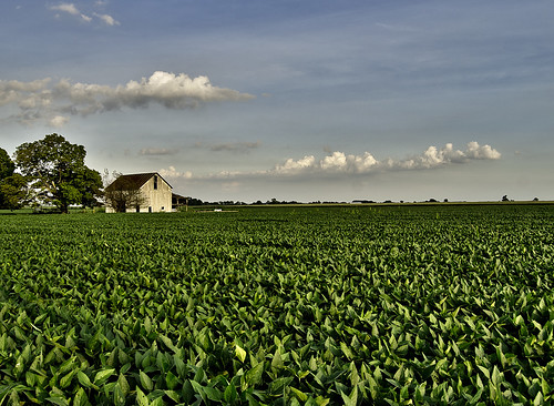 ohio sky field clouds corn grow bean crops agriculture flickrcentral hdr abigfave esmithiii esmithiii2003