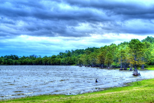 trees lake tree nature water parish canon river landscape rebel landscapes duck louisiana phil wildlife union scenic marion upper finch national swamp monroe cypress willie intimate hdr silas dynasty commander ouachita refuge jase robertson haile nwr jeptha upperouachitanwr