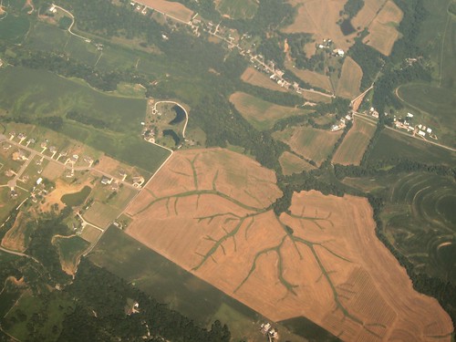 rural landscape illinois pattern farming aerialview aerial aerials dendrite dendritic takenfromaplane columbiail gallrd