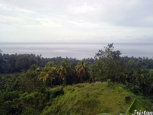 above sea mountain up hill oceanview seaview