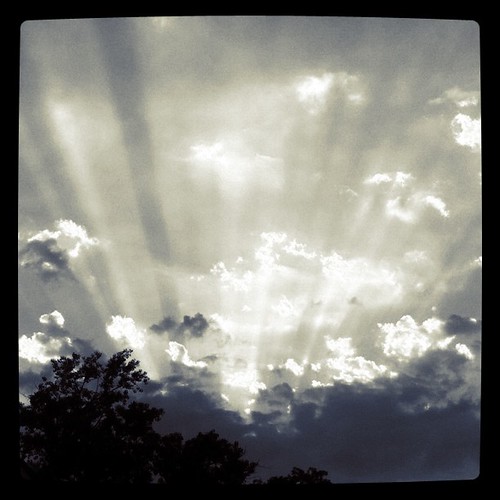 light sunset sky blackandwhite sun tree clouds square indiana squareformat rays elkhart gotham iphone elkhartin elkhartcounty iphoneography instagram instagramapp uploaded:by=instagram