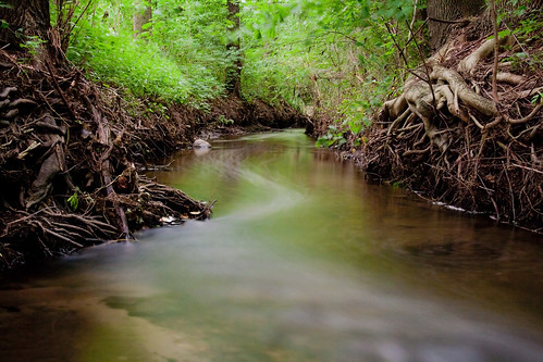 longexposure bw motion green nature water composition creek forest canon flow photography eos raw outdoor nd 1000d