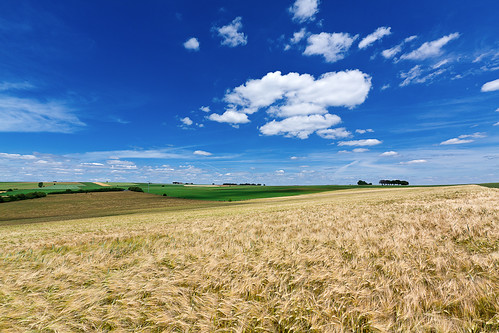 blue summer sky yellow clouds landscape view horizon grain wideangle luxembourg luxemburg canon1022mm graan robchristiaans