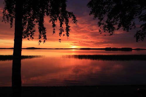 finland kesä luonto 2011 puutossalmi rantamaisema