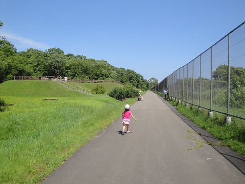 hokkaido 北海道 kushiro 釧路 丹頂鶴自然公園