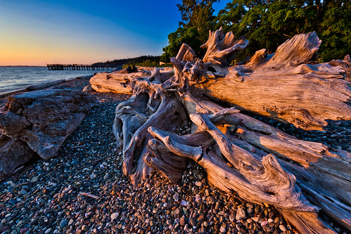 ocean trees sunset summer seascape beach pier washington rocks day pacific northwest july clear driftwood pacificnorthwest pugetsound kayakpoint snohomishcounty