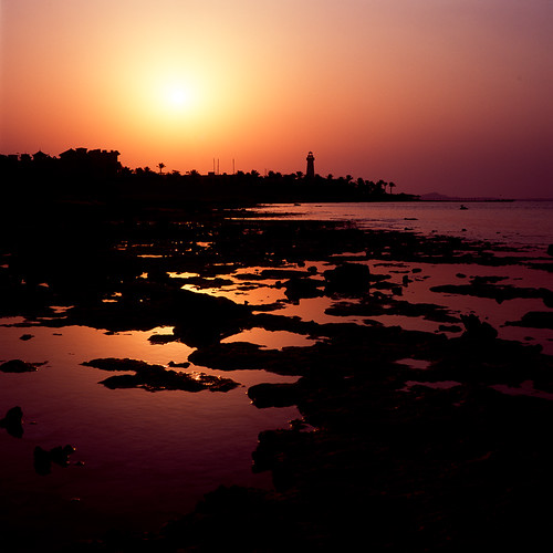 ocean sea sky sun 120 6x6 film beach water silhouette backlight sunrise mediumformat dawn twilight fuji egypt sharmelsheikh hasselblad soil velvia land velvia100 rvp100 503cw planar80mm epsonv700