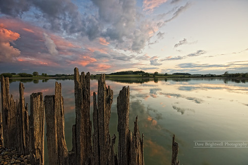 wood trees sunset red sky lake water clouds reflections landscape rocks sony teeth sigma reservoir rotten alpha manfrotto a550