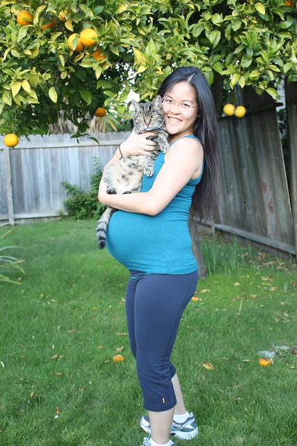 Butters and Me at 38 weeks