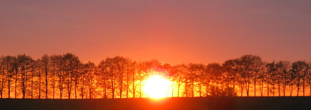 Polish sunset