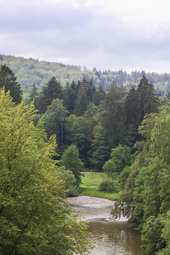 forest germany view wald externsteine teutoburger