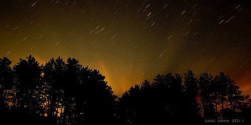 camping trees light red summer camp orange newyork yellow pine night dark stars space erie oneonta startrails newyorkstatepark