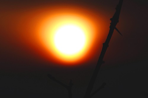 light sunset sun festival denmark evening nikon dusk danmark lolland nikond5000