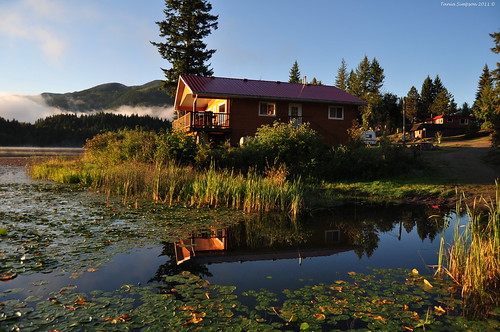cabins morning reflections lilypads auquaticplants buildings architecture cattails trees branches pine bushes resort dutchlakeresort dock clearwater wellsgraycountry bc britishcolumbia canada taniasimpson photographer photography photograph photo image copyrightimage nikon nikond90