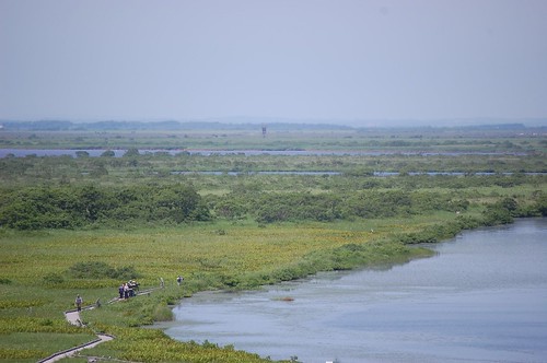 japan landscape hokkaido marsh sarobetsu