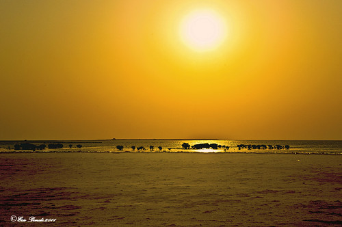 sunset nikon tramonto mare desert qatar deserto mygearandme galleryoffantasticshots