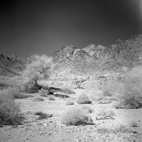 120 6x6 rolleiflex desert infrared mf