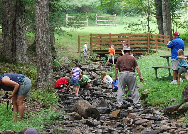 The Critter Crawl is a long-time favorite at Hungry Mother State Park in Virginia and teaches families about the species that lives in the streams