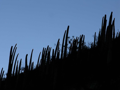 mountains latinamerica cacti mexico landscapes flickr desert sunsets 2006 gps puebla succulents mex