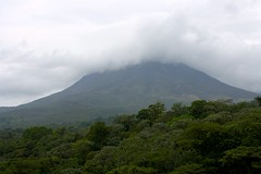 Arenal and the trees / Arenal y los árboles