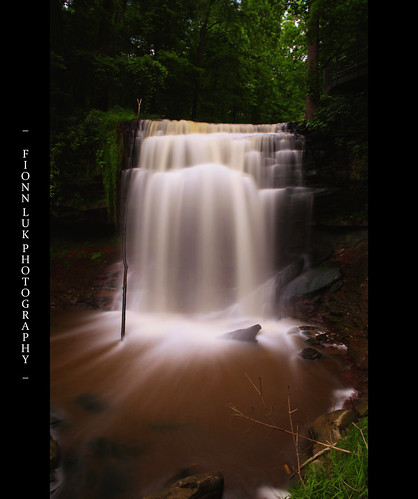 longexposure summer ontario canada hot tree green nature water canon landscape frozen waterfall long exposure branch view great greatfalls hamilton scene falls freeze 5d canon5d