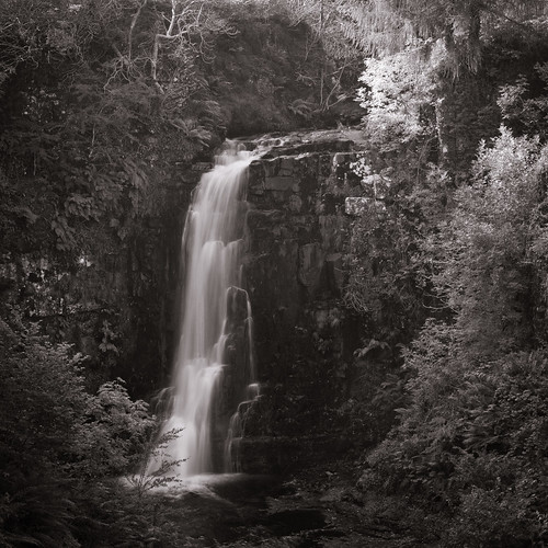 trees motion art nature water manipulated square flow photography scotland waterfall flora space places gb acr toned platinum arran stacked whitingbay shapeandform rawconversion abstractqualities