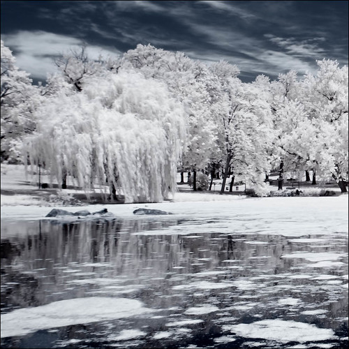 ny newyork iceage canon landscape poop infrared converted rebelxt photomo 665nm mikeorso