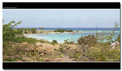 Rogers Beach Aruba 2011
