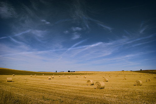 españa cielo nubes campo cereales zamora castilla agricultura segar
