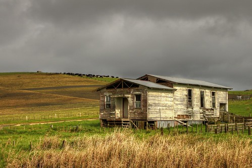 old newzealand house building abandoned home farmhouse cottage northland derelict dilapidated oldandbeautiful oncewashome akatere