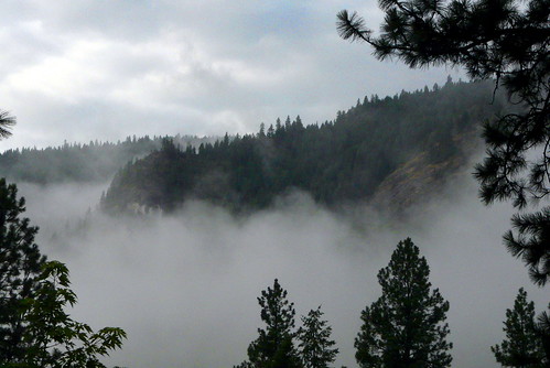 morning trees vacation mountain fog forest washington ridge curlew ferrycounty