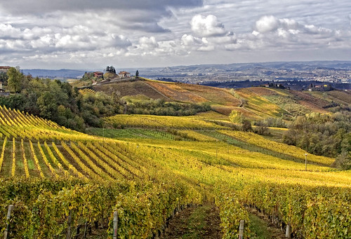 wine hills vineyards vigne barbaresco vino colline langhe flickraward flickrawardgallery