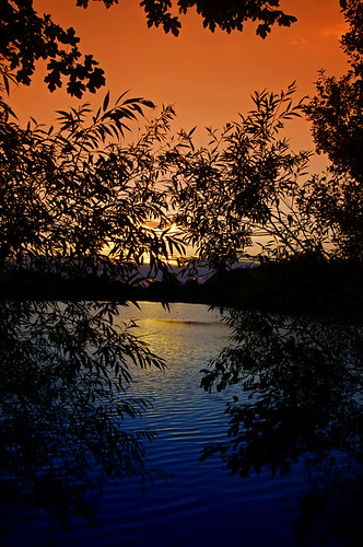 trees sunset lake water silhouttes mygearandme ringexcellence