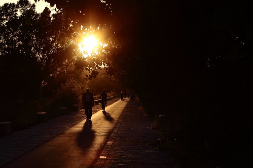 street old light sunset sun lake man tree bicycle silhouette walking shadows stroller path walk pedestrian greece stroll ioannina epirus ελλάδα pamvotis ιωάννινα