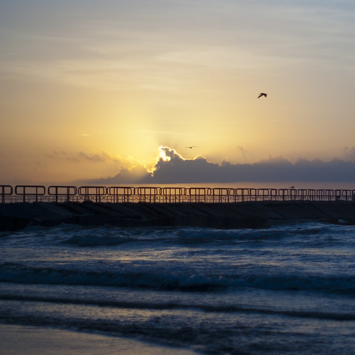 ocean sea sky cloud sun bird beach water sunrise mexico island dawn pier texas gulf jetty north padre
