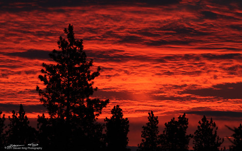 morning pink light summer orange usa cloud sun black color tree weather silhouette pine sunrise canon landscape washington spokane king steve july 7d sunup fireinthesky 2011