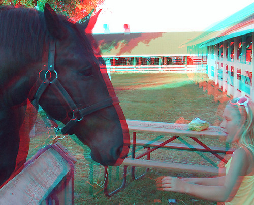 horses stereoscopic stereophoto scenic anaglyph iowa anaglyphs lemars redcyan 3dimages 3dphoto 3dphotos 3dpictures stereopicture plymouthcountyfair