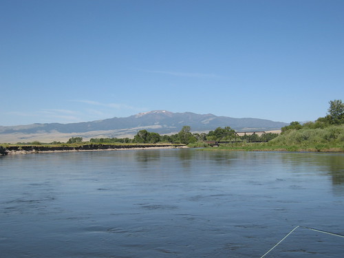 montana flyfishing jeffersonriver