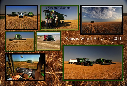 clouds farm wheat harvest kansas johndeere kenworth trego