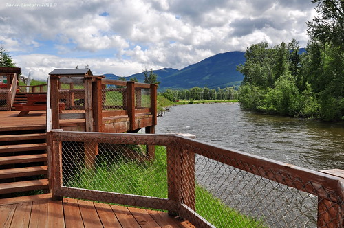 raftriver river water picnicarea picnictable platform viewing viewpoint stopofinterest trees leaves pine birch railing steps wood fish clearwater bc britishcolumbia canada taniasimpson photographer photography photograph photo image copyrightimage nikon nikond90