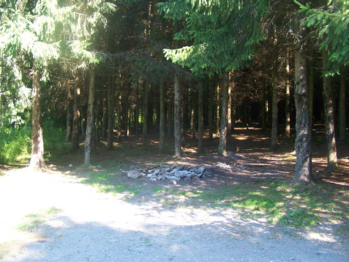 up forest pond long all state 5 cleaned campsite longpond andyarthur