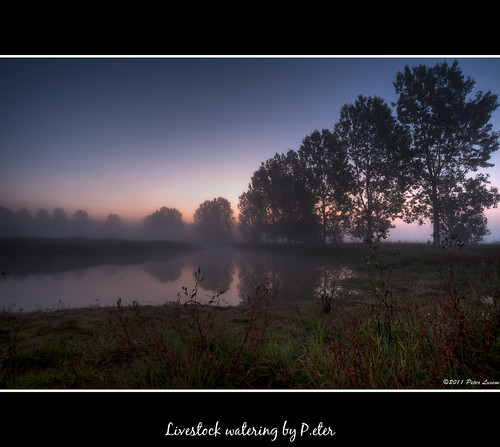reflection water sunrise landscape europe belgium hdr borsbeek photomatix detailsenhancer