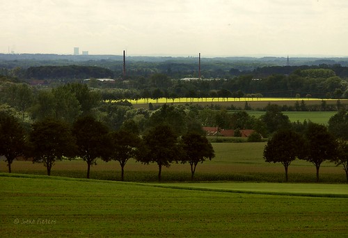 germany landscape deutschland duitsland landschap baumberge konicaminoltadimagea2 5389 steverberge