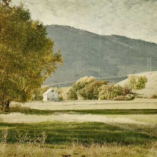 autumn trees foothills fall field grass barn rural canon square colorado shadows textured denverbotanicgardensfarm texturesquared skyadded t1i