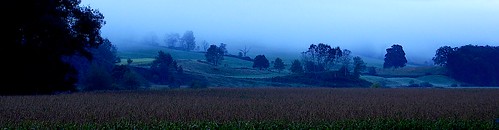 morning trees fog rural landscape cornfield farm upstatenewyork newyorkstate hillside elkcreek schenevus otsegocounty edbrodzinsky