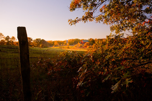 autumn light sunset shadow usa tree fall nature field leaves wisconsin barn rural landscape photography evening countryside photo october scenery image dusk farm belleville country picture american northamerica canonef1740mmf4lusm goldenhour fencepost hff 2011 canoneos5d danecounty brooklynwildlifearea lorenzemlicka happyfencefriday