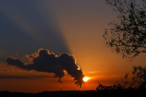 soleil gimp arbres nuages coucherdesoleil centrale effet nucléaire drôme rhônealpes autichamp nuagesdevapeur centraledecruas