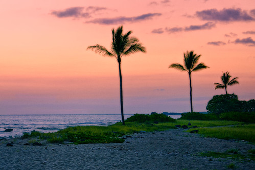 ocean park sunset beach nikon palm palmtrees kailuakona bigislandofhawaii nikond7000 mygearandme mygearandmepremium mygearandmebronze mygearandmesilver mygearandmegold mygearandmeplatinum hawaiianvirtualtours oldkonaairportstatepark