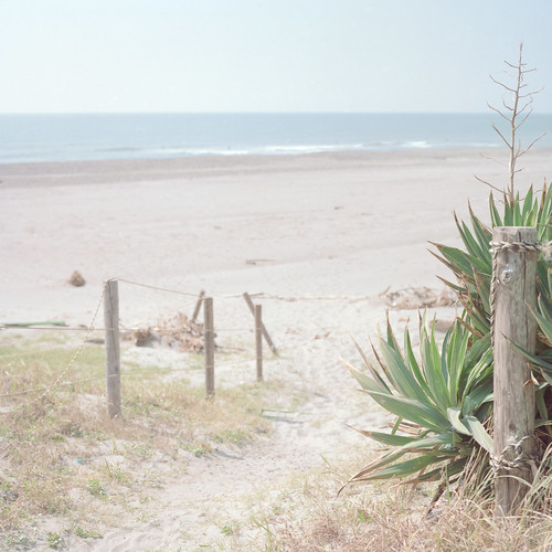 ocean sea 120 beach japan landscape geotagged kodak dune bronica nikkor portra shizuoka hamamatsu s2 160nc nakatajima zenzabronica nakatajimasakyu nakatajimasanddunes nikkorhc75mmf28 geo:lat=34661382 geo:lon=137739702