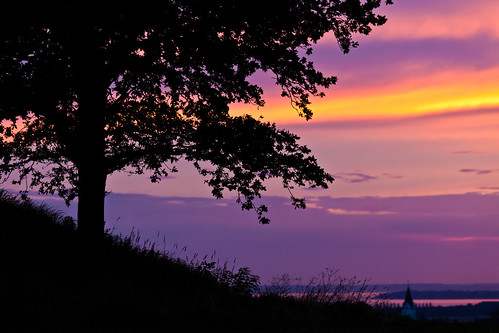 sunset tree skåne branch purple sweden skåne f40 2011 fav10 ef200mmf28lusm canoneos5dmarkii asmundtorp ¹⁄₂₀₀sek